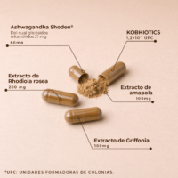 Copy of kobhoCALM 4