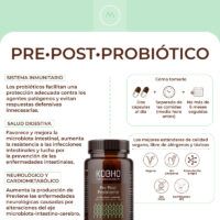 ficha probiotico