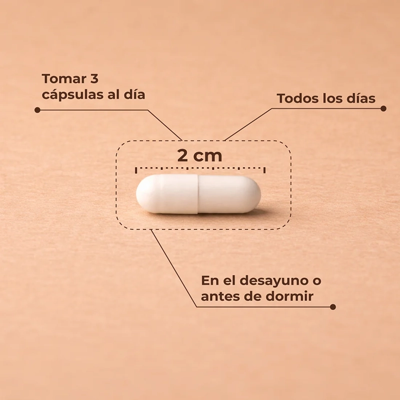 trimagensio es 1 1100x